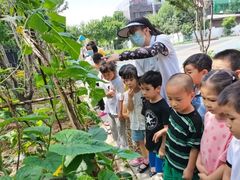 -恩卓国际幼儿园(兆丰校区)