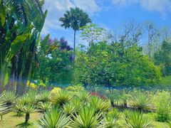 -中国科学院西双版纳热带植物园