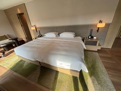 -雅达·阳羡溪山小镇中心