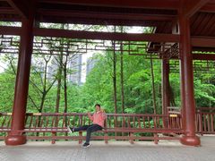 -重庆彩云湖湿地公园