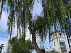 -金银湖国家城市湿地公园