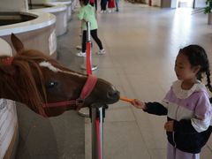 -中国马镇舞马世界主题乐园