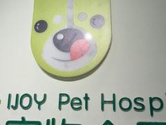 -艾吉宠物医院·疑难杂症转诊中心·猫友好(碧江路院)