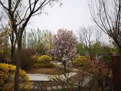 -武清南湖绿博园