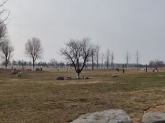 -汉长安城未央宫国家考古遗址公园