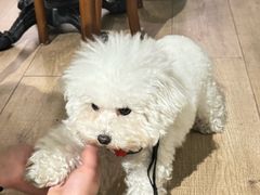 -Thai Basil罗勒叶泰式餐厅(时代天街店)