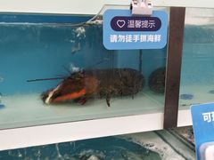 -盒马X会员店(王府井奥莱UP TOWN店)
