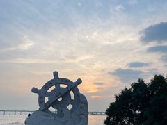 -宝安西湾红树林湿地公园
