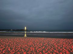 -清水湾旅游度假区