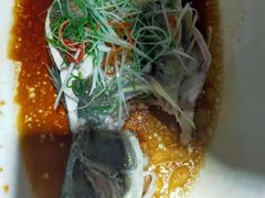 清蒸多宝鱼-鸭王烤鸭店(三里河店)