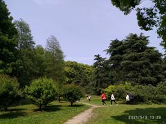 -上海共青森林公园