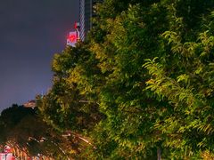 -广州花园酒店