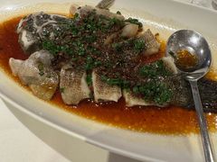 -南麓·浙里(外滩店)