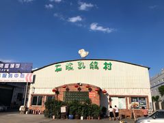 -石岐乳鸽村(桥观坊南四巷店)