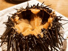 海胆-阳光岛·海鲜盛宴(银泰中心in99店)