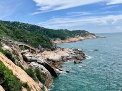 -广东惠东海龟国家级自然保护区