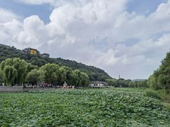 -北山公园