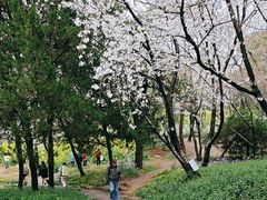 -无锡梅园公园