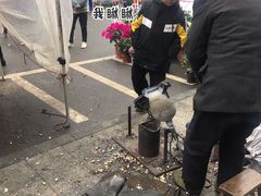 -磐安舞龙峡景区