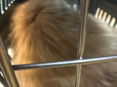 -联合动物医院(光谷诊疗中心)