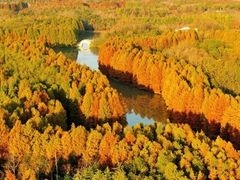 -上海海湾国家森林公园