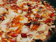 -蜀都丰 川菜·水煮活鱼(万象九宜城店)