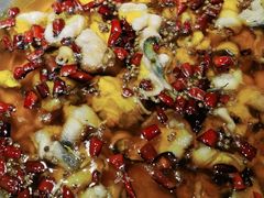 -雲蜀龙阁·金牌水煮鱼(方庄店)