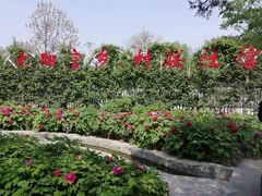 -太阳宫公园