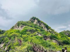 -大岭沟猕猴桃谷风景区