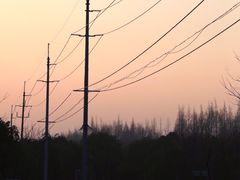 -上海海湾国家森林公园