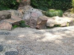 -杭州黄龙洞