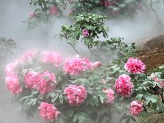 -北京西山国家森林公园