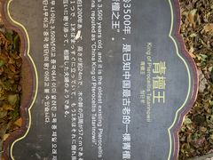 -皇藏峪国家森林公园