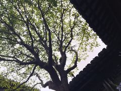 -我嘉书房(南翔名士居店)