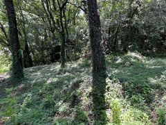 -苏州上方山国家森林公园