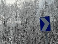 -凤凰山国家森林公园