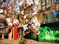 -绿地风尚天地广场