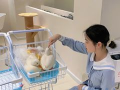 -怪兽屋·羊驼·猫咖·狗咖(俊华广场店)