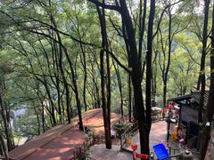 -巴倒烫陆派火锅山庄(南山总店)
