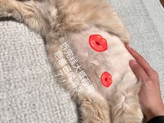 -芭比堂动物医院广州顽皮分院