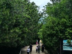 -府君山公园