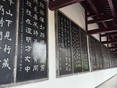 -长春观