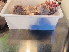 -洪记白水羊头(天坛店)