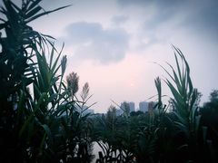 -眉山湿地公园(东坡区)