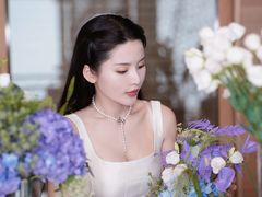 -上海柏悦酒店