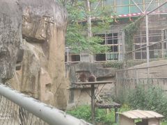 -成都动物园