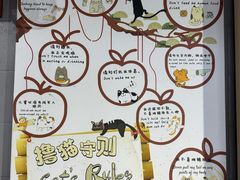 -豆逗聊愈猫阁Easy Life