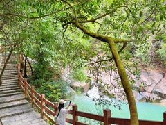 -广州白江湖森林公园