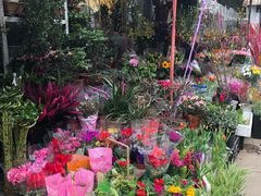 -平吉花卉市场