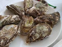 -渔民船说·北塘海鲜·天津菜·海肠捞饭(北塘古镇店)